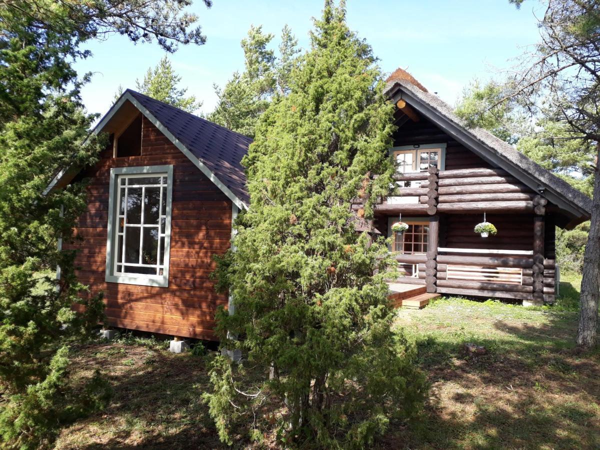 Paehkli Seaside Cottage With Cozy Outdoor Patio Koiguste Kültér fotó