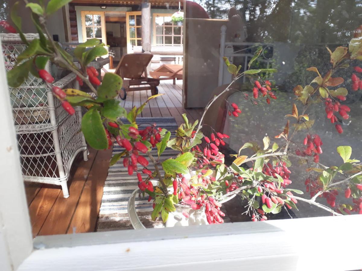 Paehkli Seaside Cottage With Cozy Outdoor Patio Koiguste Kültér fotó